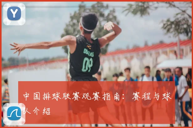中国排球联赛观赛指南：赛程与球队介绍
